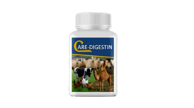 Care Digestin
