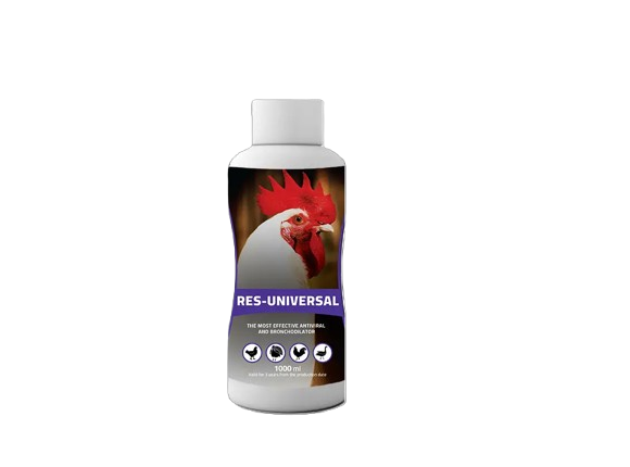 Race Universal